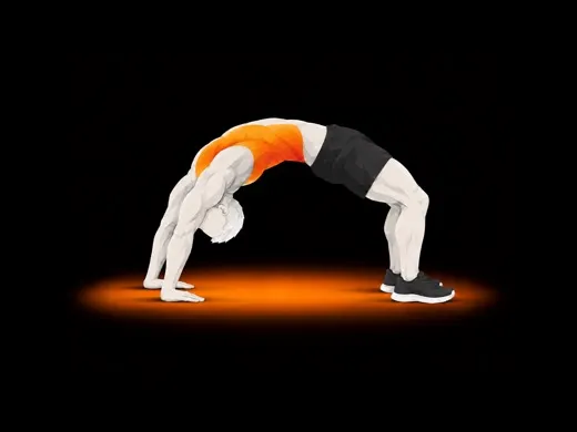 Bridge illustration