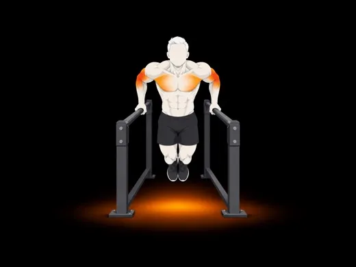 Parallel-bar Dip illustration