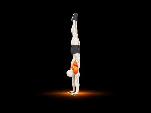 Freestanding Handstand illustration