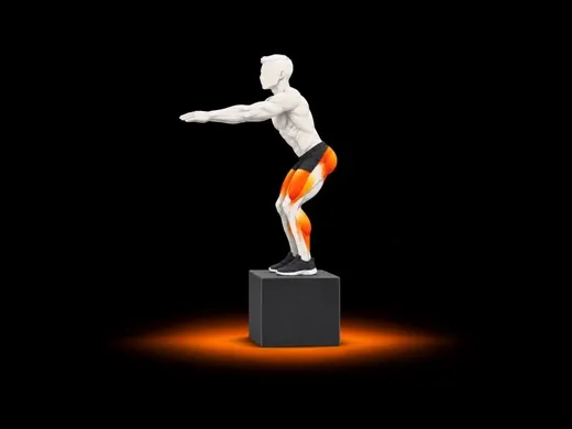 Box Jump illustration