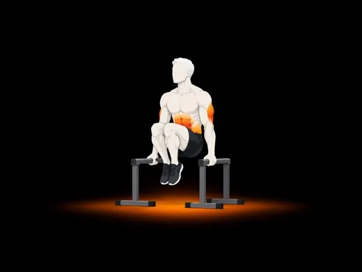 Tuck L-sit illustration