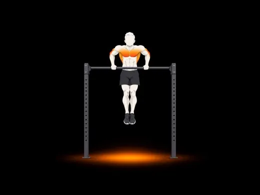 Bar Muscle-up illustration