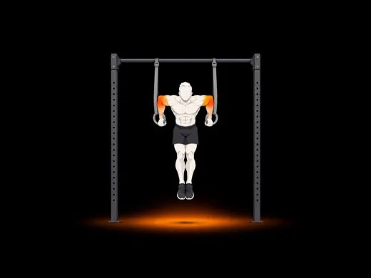 Ring Muscle-up illustration